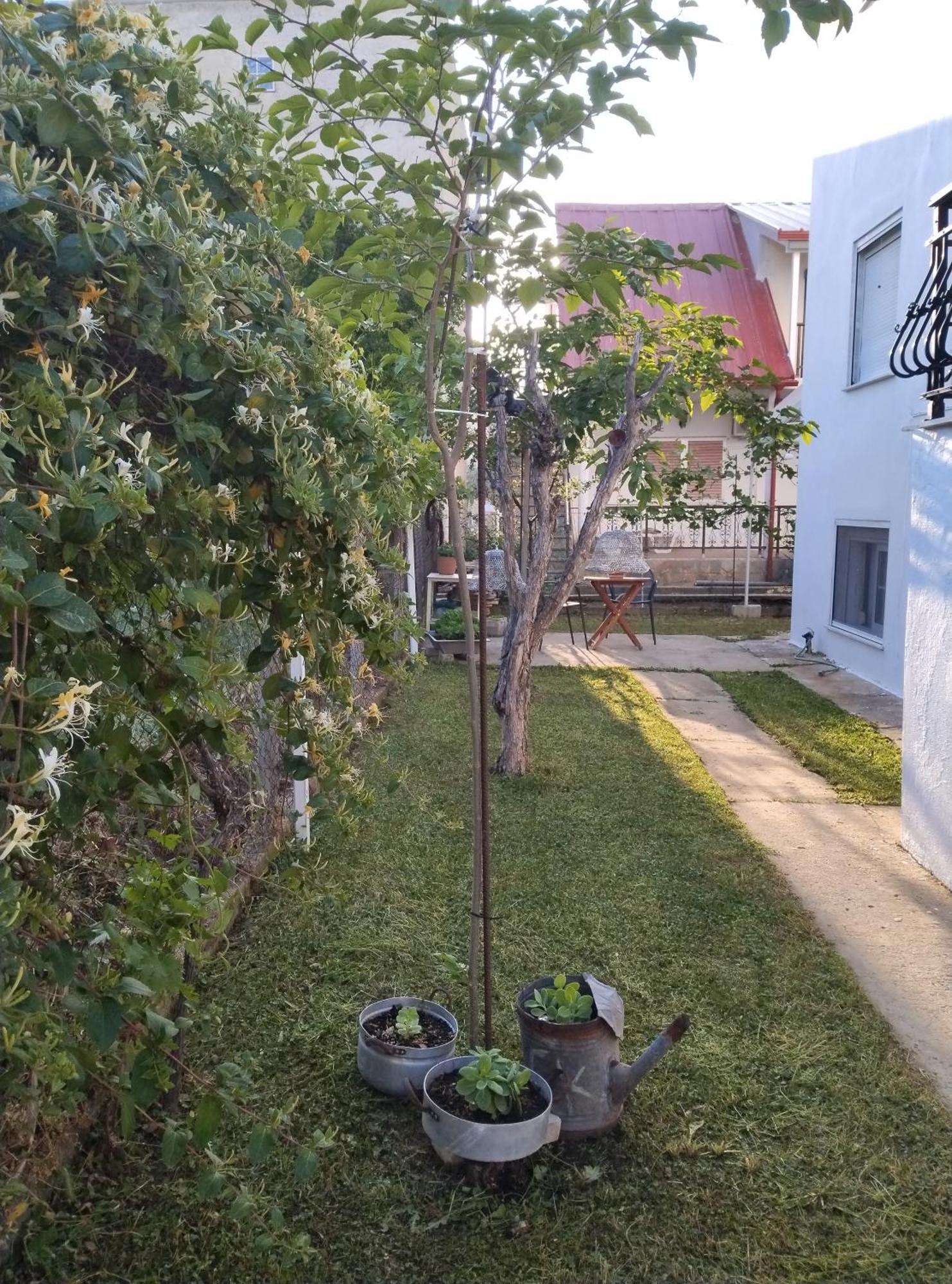 Θαλασσινή Αυρα Villa Nea Vrasna Exterior photo